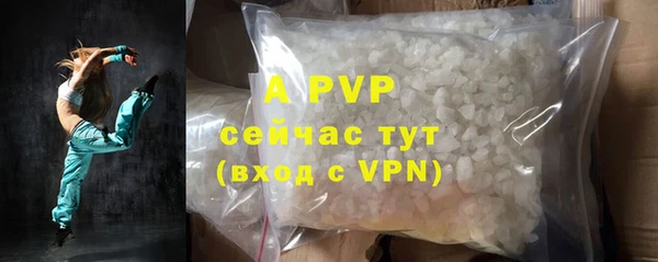 ECSTASY Вяземский