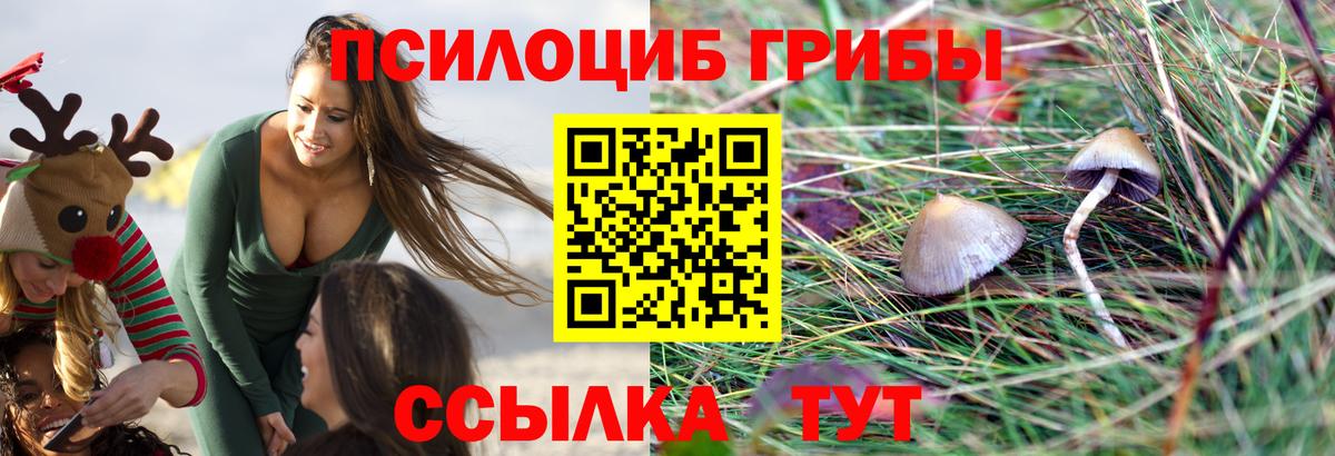 Псилоцибиновые грибы мухоморы Гулькевичи