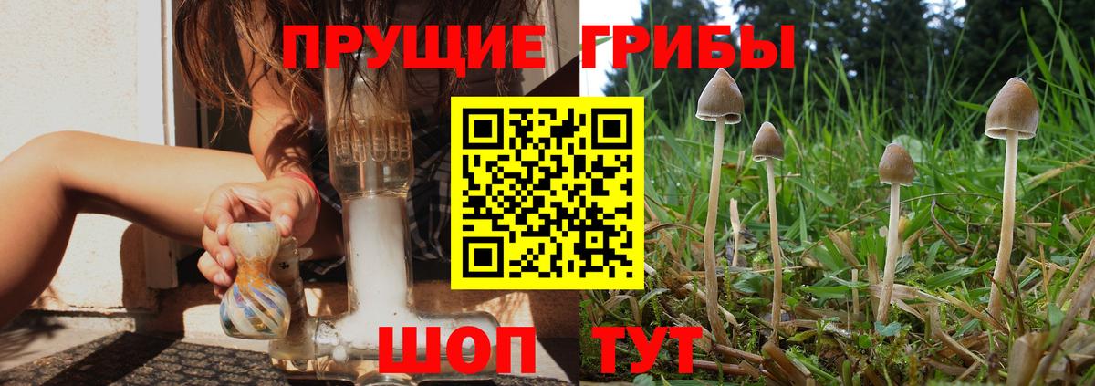 Галлюциногенные грибы MAGIC MUSHROOMS  купить  цена  Гулькевичи  Вход с VPN  Галлюциногенные грибы Cubensis 