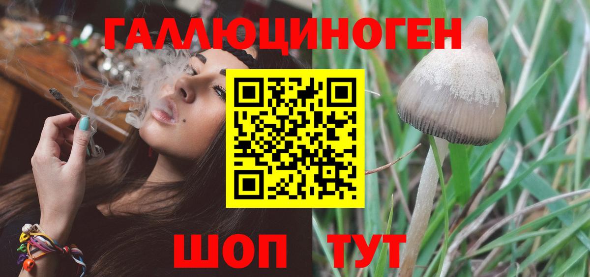 Галлюциногенные грибы мухоморы Гулькевичи